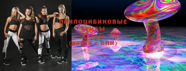 не бодяженный Арсеньев