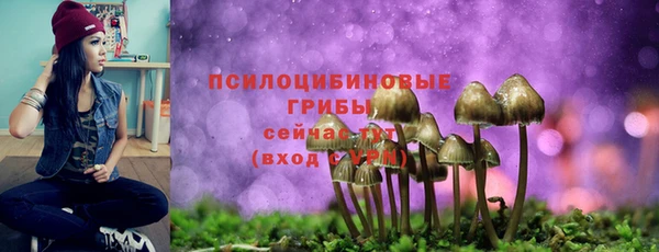 кокс Армянск