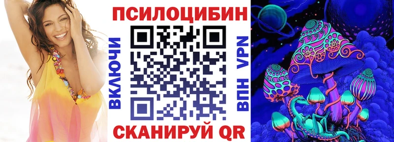как найти   Судак  Псилоцибиновые грибы Psilocybe 